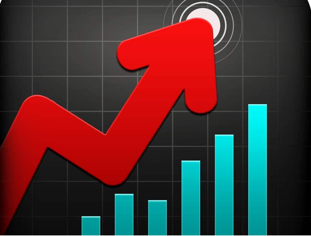 揭秘股票配资平台真实体验：风险与收益并存